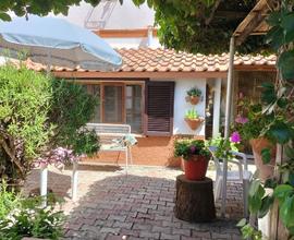 Casa singola con piccolo giardino