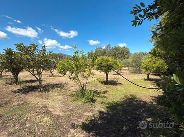 Guspini - Terreni Agricoli in Loc. Mitza De Sabiu
