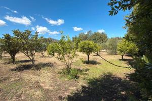 Guspini - Terreni Agricoli in Loc. Mitza De Sabiu