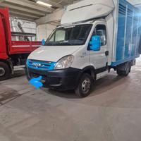 trasporto animali vivi 