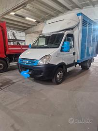 trasporto animali vivi 