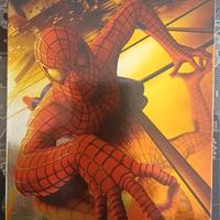 DVD Spider-Man Edizione speciale 2 Dischi