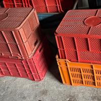 Casette per verdura e olive