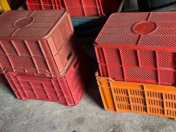 Casette per verdura e olive