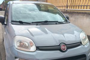  fiat panda 1200 benzina motore fire 
