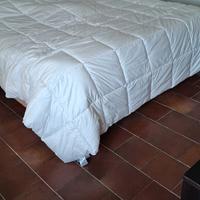 Piumone in piuma d'oca 240x260cm 