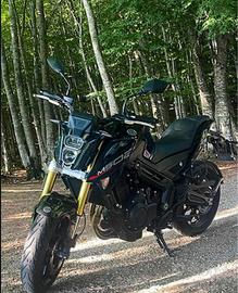 Morbidelli m502n