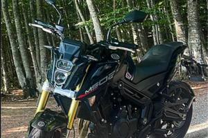 Morbidelli m502n