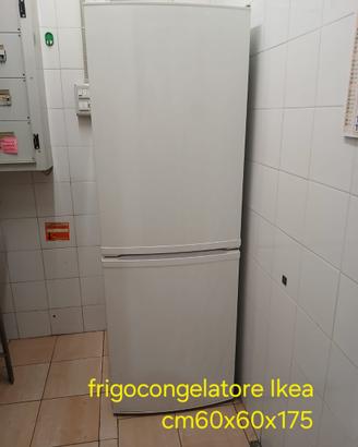 Frigocongelatore