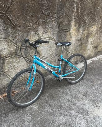Bici da Ragazzo