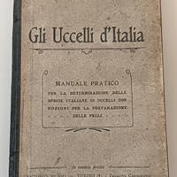 gli uccelli d'Italia 