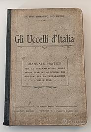 gli uccelli d'Italia 
