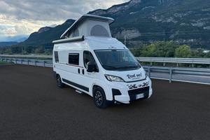 Roller Team Livingstone 6 XL Sport Limited