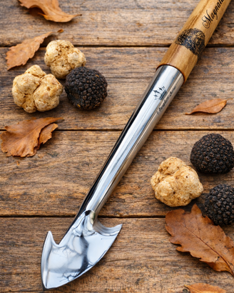 Vanghetto Professionale per Tartufi a Picchio