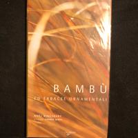 Bambu ed erbacee ornamentali