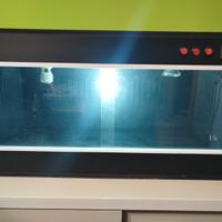 Terrario per rettili  in PVC