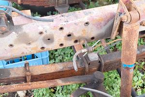 assale anteriore e posteriore om tigrotto