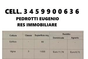 Capanno agricolo 90mq e campagna