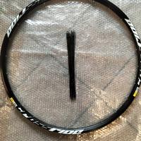 Cerchio MTB 29" Mavic a 24 raggi