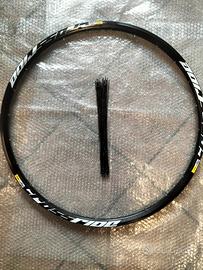 Cerchio MTB 29" Mavic a 24 raggi