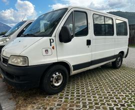 Fiat ducato 9 posti autovettura