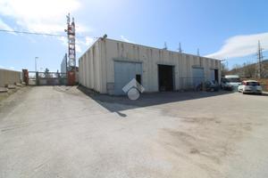 BOX A CAMPOBASSO