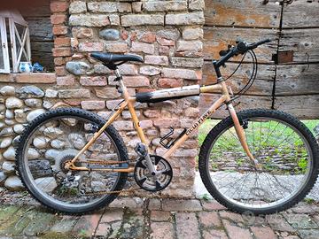 Mountain Bike - Ciclo Piave 