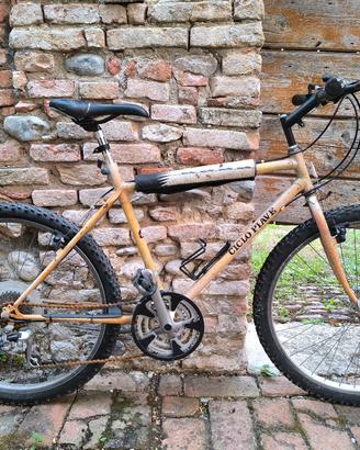 Mountain Bike - Ciclo Piave 
