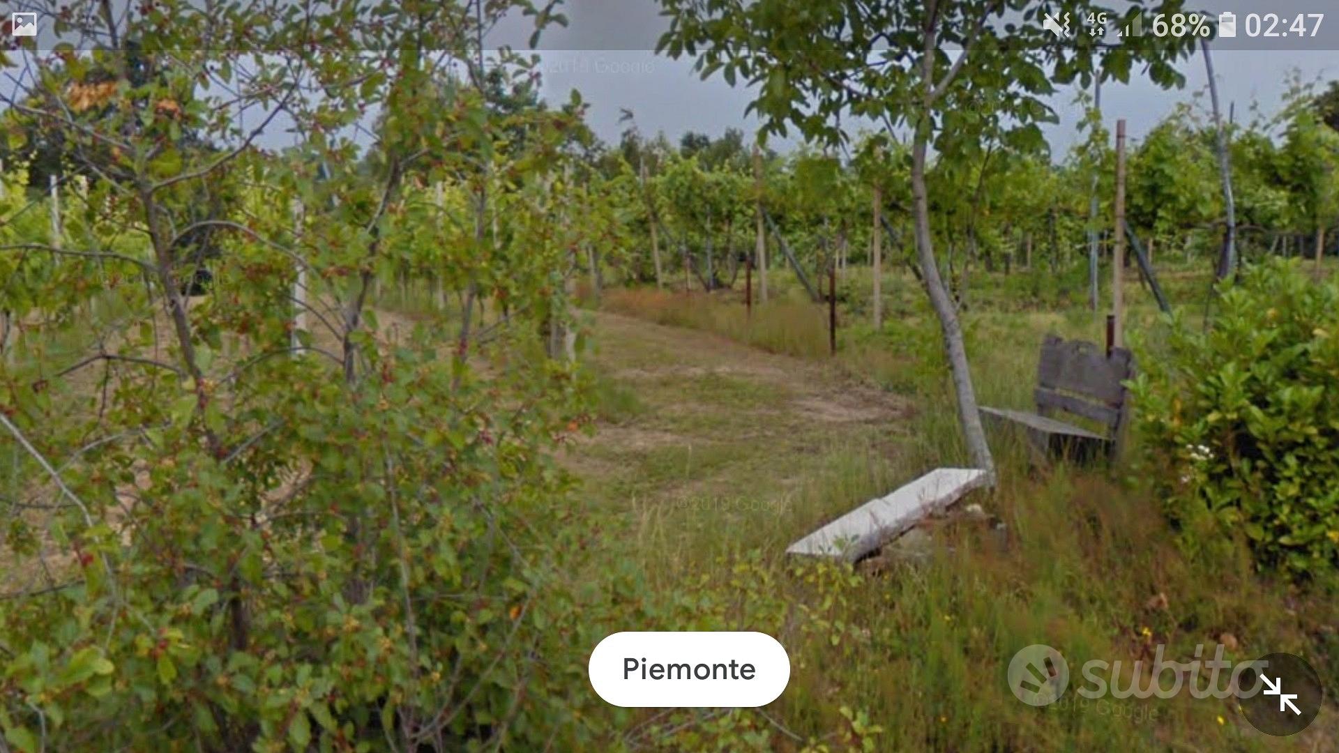 Terreno agricolo di 6330mq - Vista 4