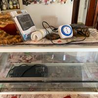 Teca per rettili