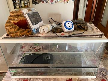 Teca per rettili