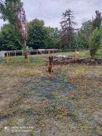 Immobile di 8000 m² con 1 locale a Inzago