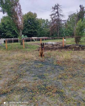 Immobile di 8000 m² con 1 locale a Inzago