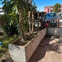 FIORAIE IN GHIAINO LAVATO 100X40