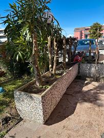 FIORAIE IN GHIAINO LAVATO 100X40