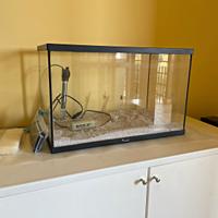 Acquario Aquatlantis (55x35x30cm)