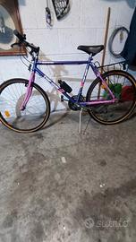 bicicletta MTB con portapacchi