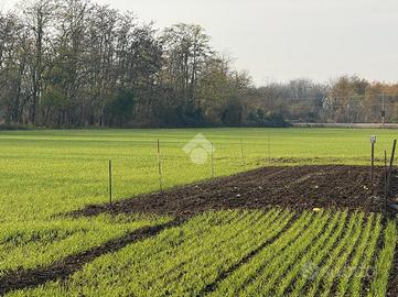 TERRENO A SEREGNO
