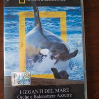 DVD documentario Orche e Balenottere Azzurre