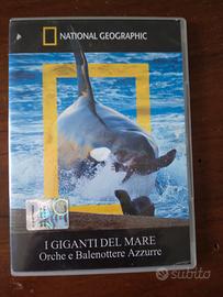 DVD documentario Orche e Balenottere Azzurre