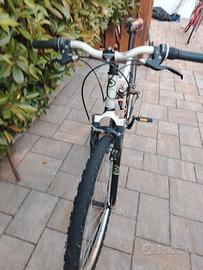 bicicletta ragazzo 