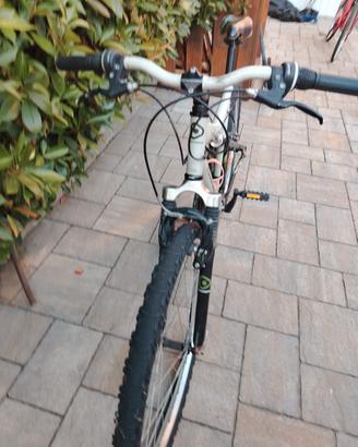 bicicletta ragazzo 