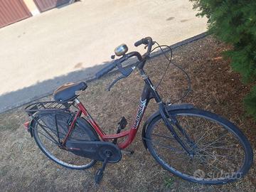 Bici 26 pollici
