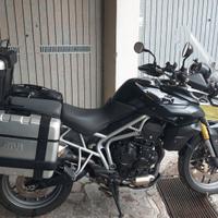 Triumph 800