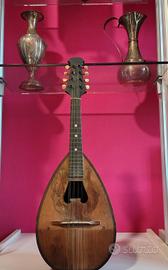 Mandolino Napoletano E.Patierno - fine ottocento