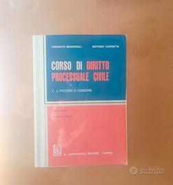 Corso di diritto processuale civile II