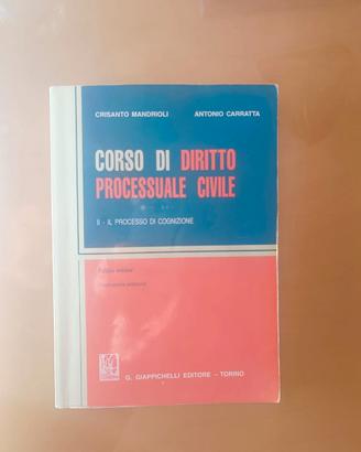 Corso di diritto processuale civile II