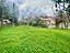 Immagine 13