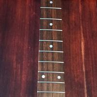 Manico Stratocaster acero palissandro