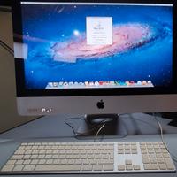 IMAC 1311